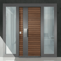 Steel Entrance Door