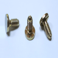 FASTENING CHANNEL SCREW