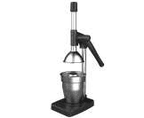 Home Type Manual Fruit Press