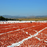 AGRICULTURAL COVERS