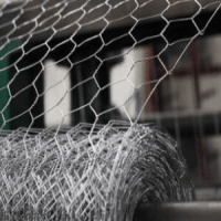 Galvanized Chicken Wire