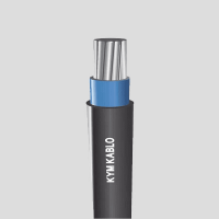 PVC Insulated Aluminum Conductor Power Cables