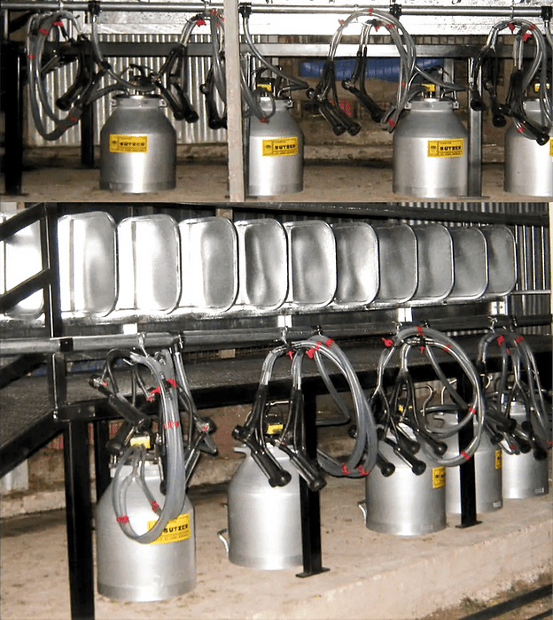 Bucket Milking  System