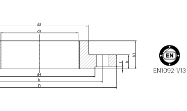 Steel Threaded Flanges Fittings