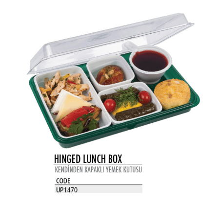 Disposable Lunch Containers - Hinged Lunch Boxes