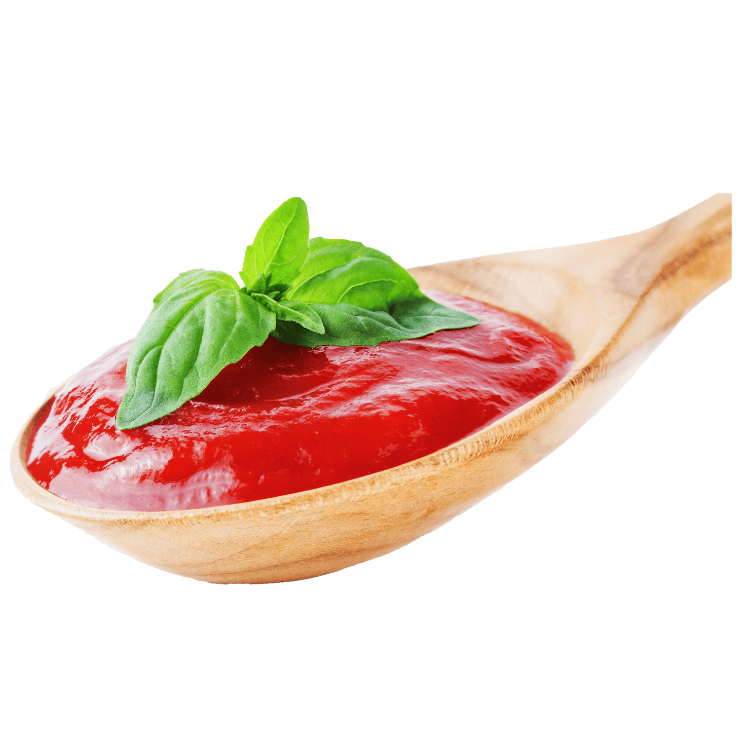 Tomato Paste