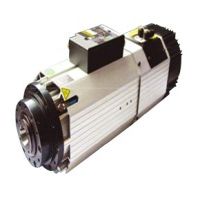 Vector Spindle Motors